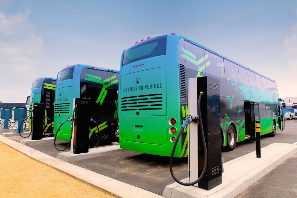 Genentech electric buses on their chargers